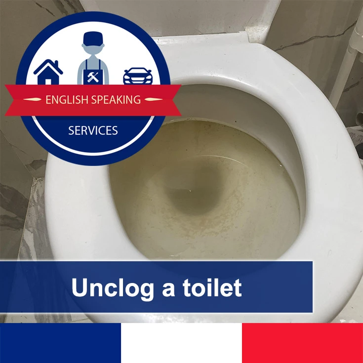 unclog a toilet